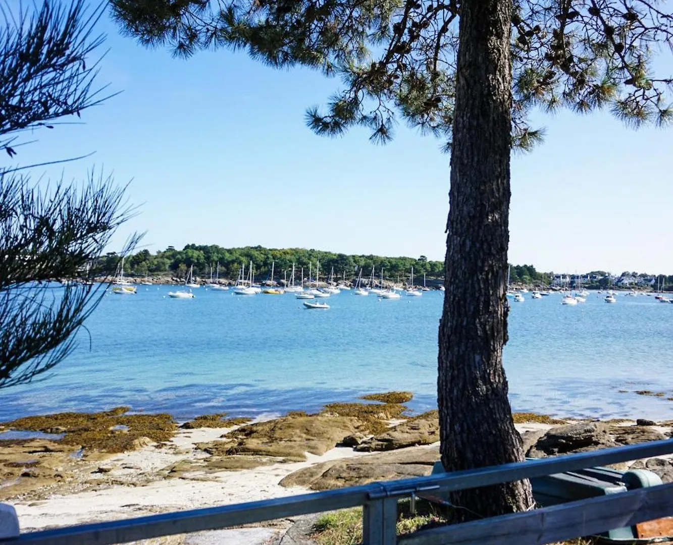 -Les Lutins- Charmante Maison Les Pieds Dans L Eau Concarneau 0*,